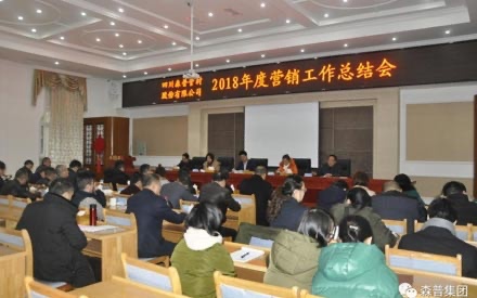 2018年度營銷工作總結(jié)會