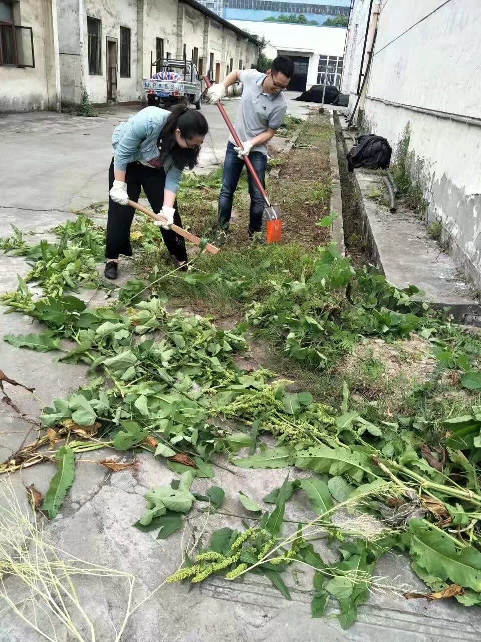 1493976975446614raL7.jpg psb.jpg